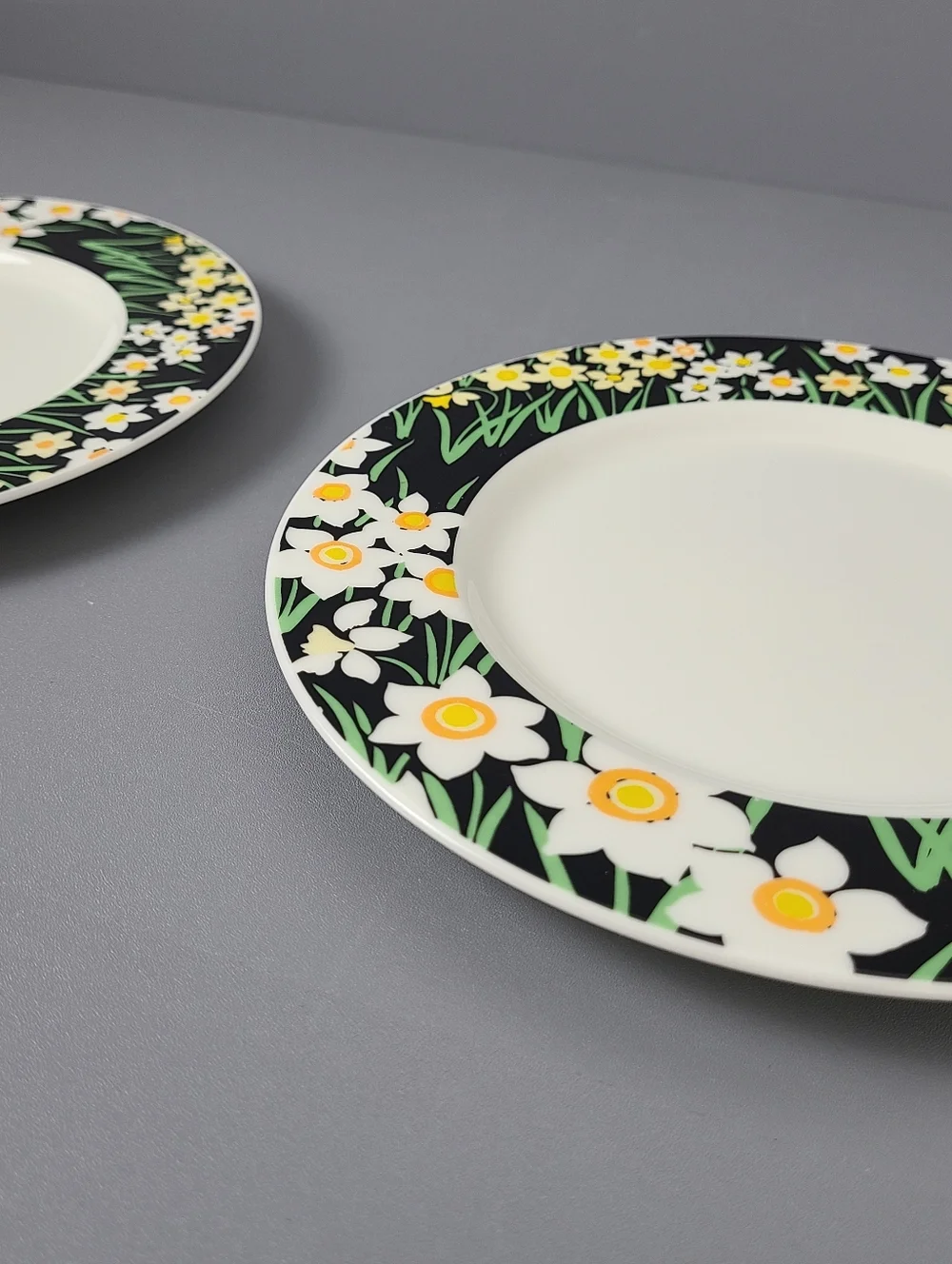 Mikasa Summer Night Joan Luntz Japan Bone China Vintage Plates- Set of Two